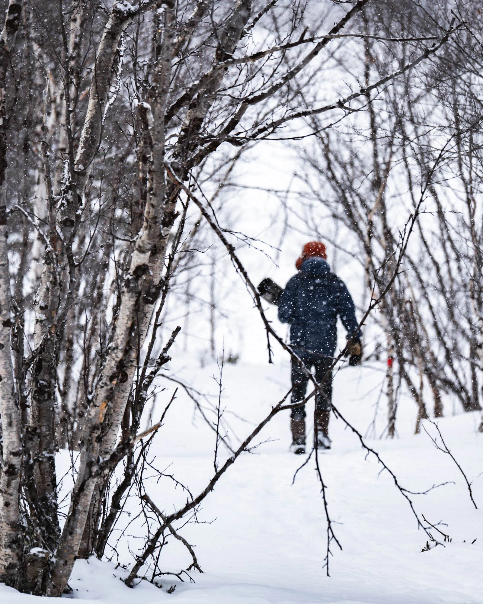 person walking into the woods with a big telephoto lens
