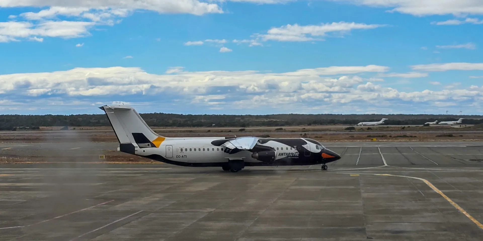 gentoo plane