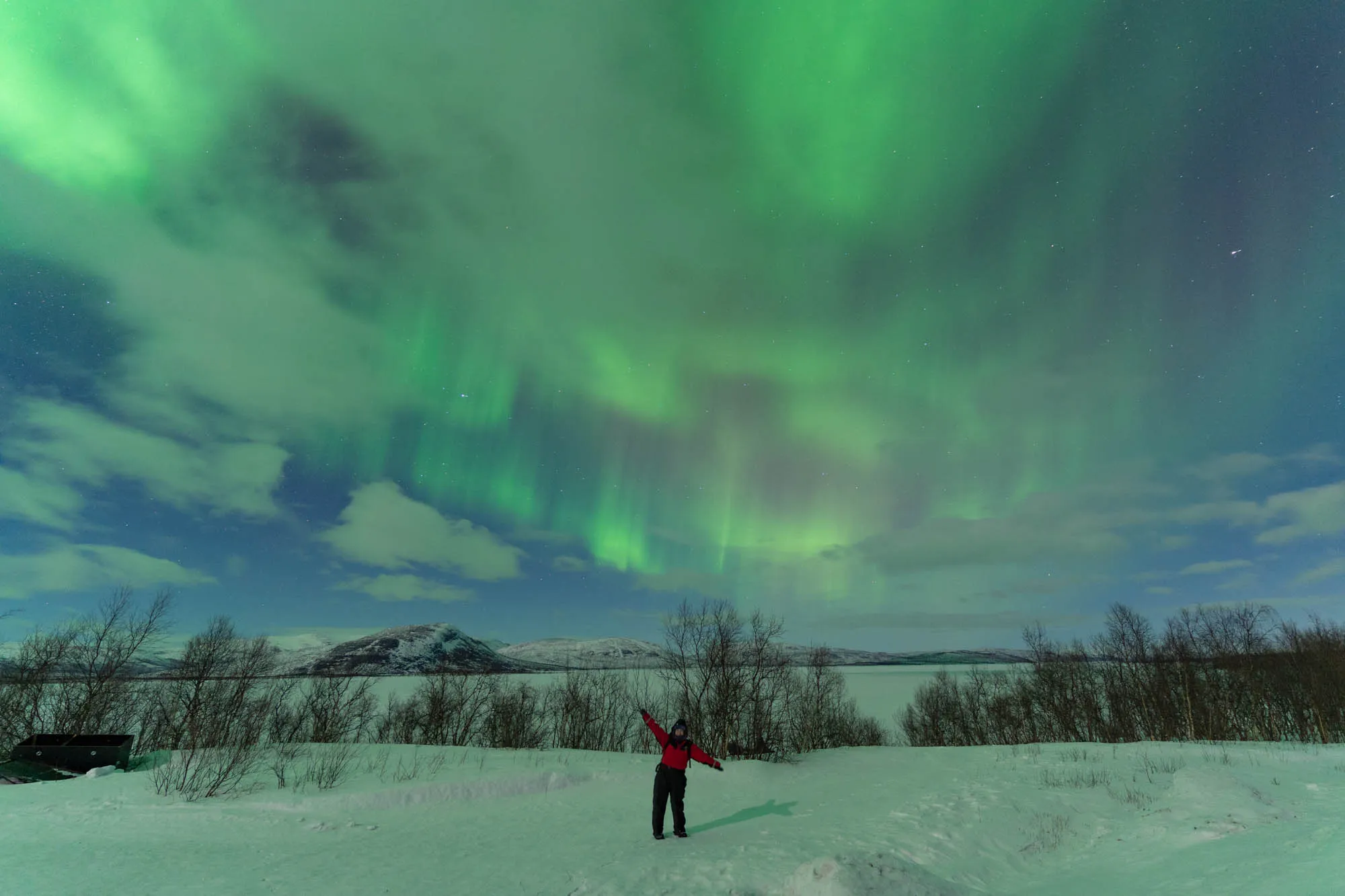 small person standing under a fully dancing sky
