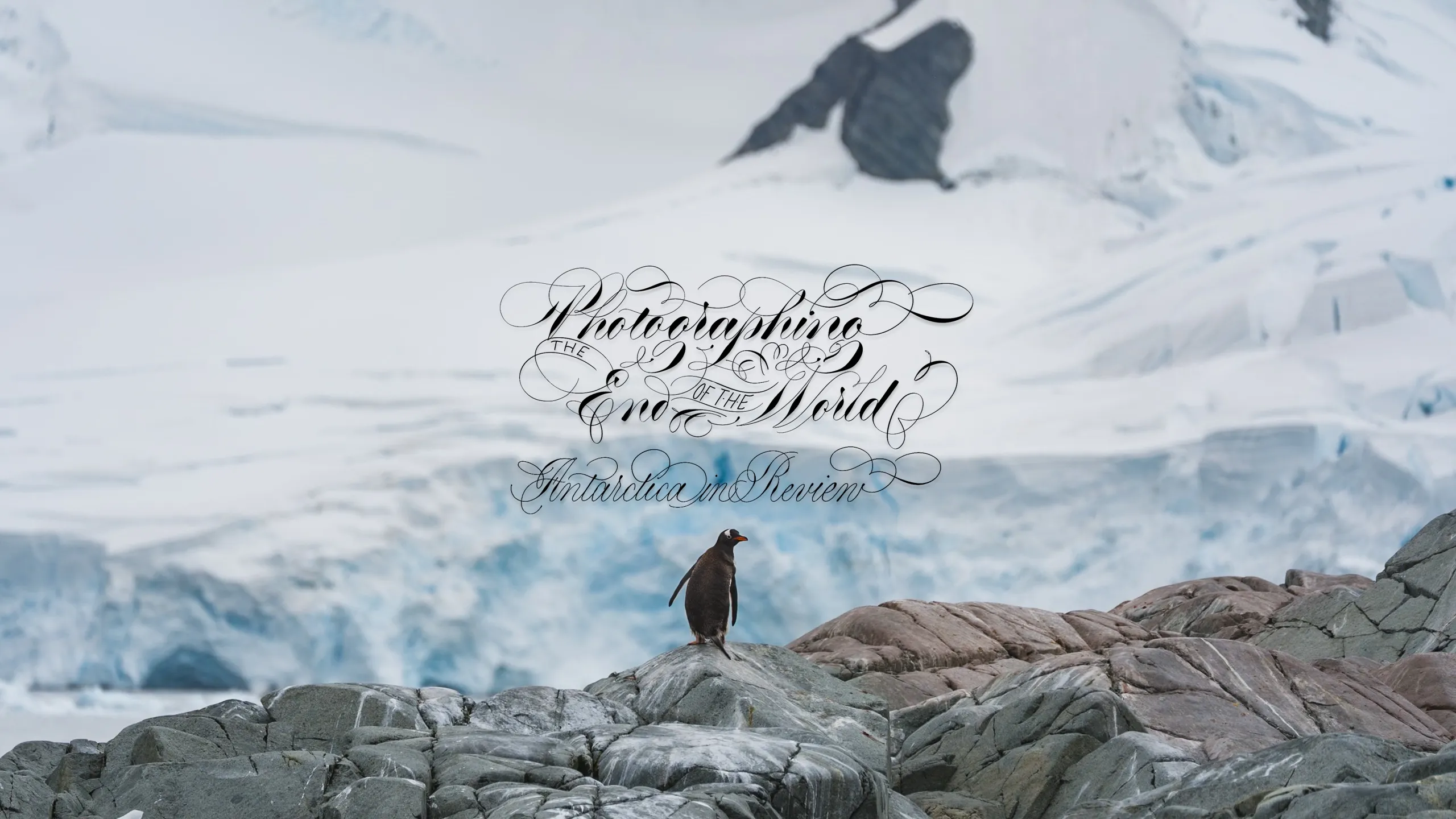 a photo of Antarctica with calligraphy lettering saying "Photographing the End of the World"