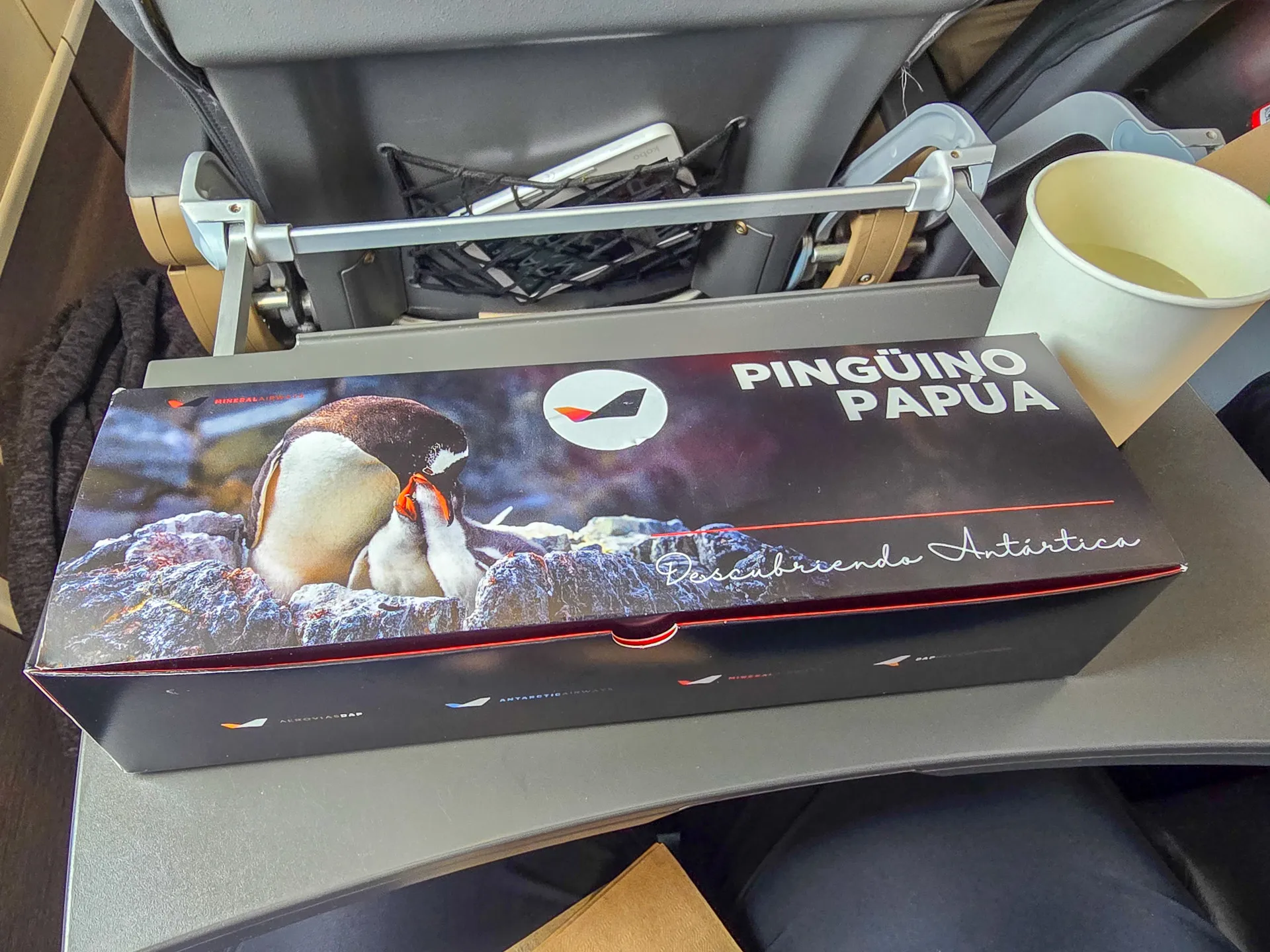 in-flight-meal in penguin themed box