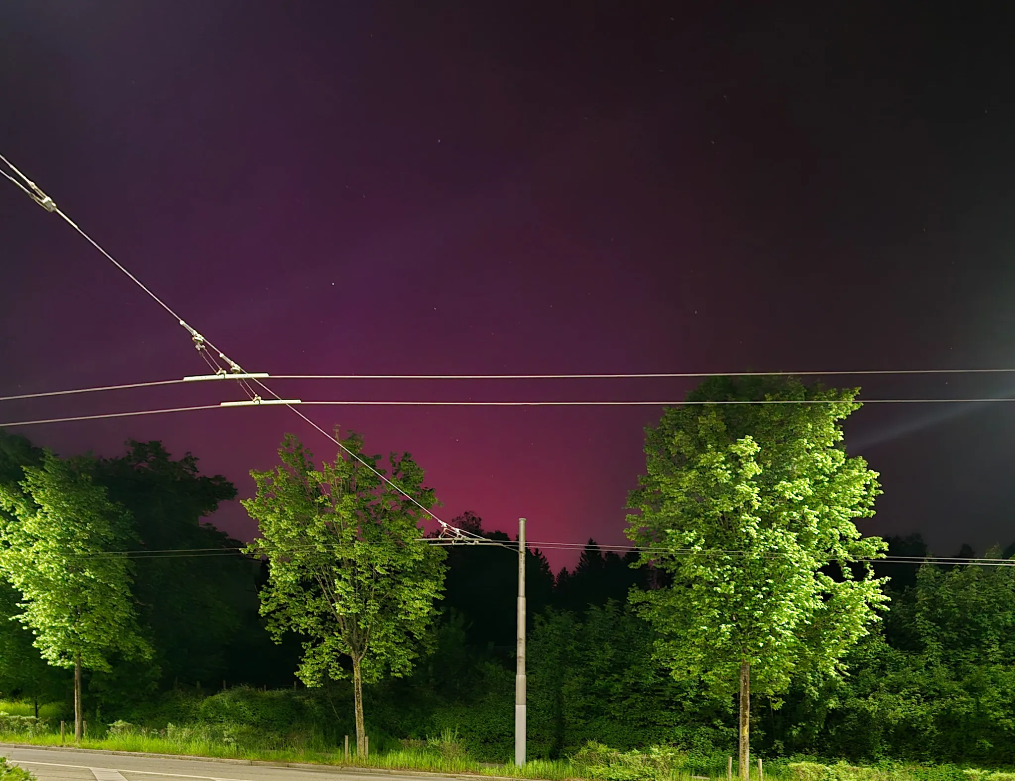 photo of pink hued sky behind tree line