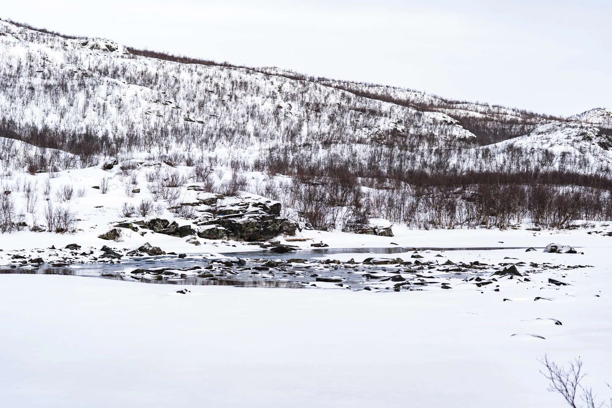 open water lined by the mountain and snow