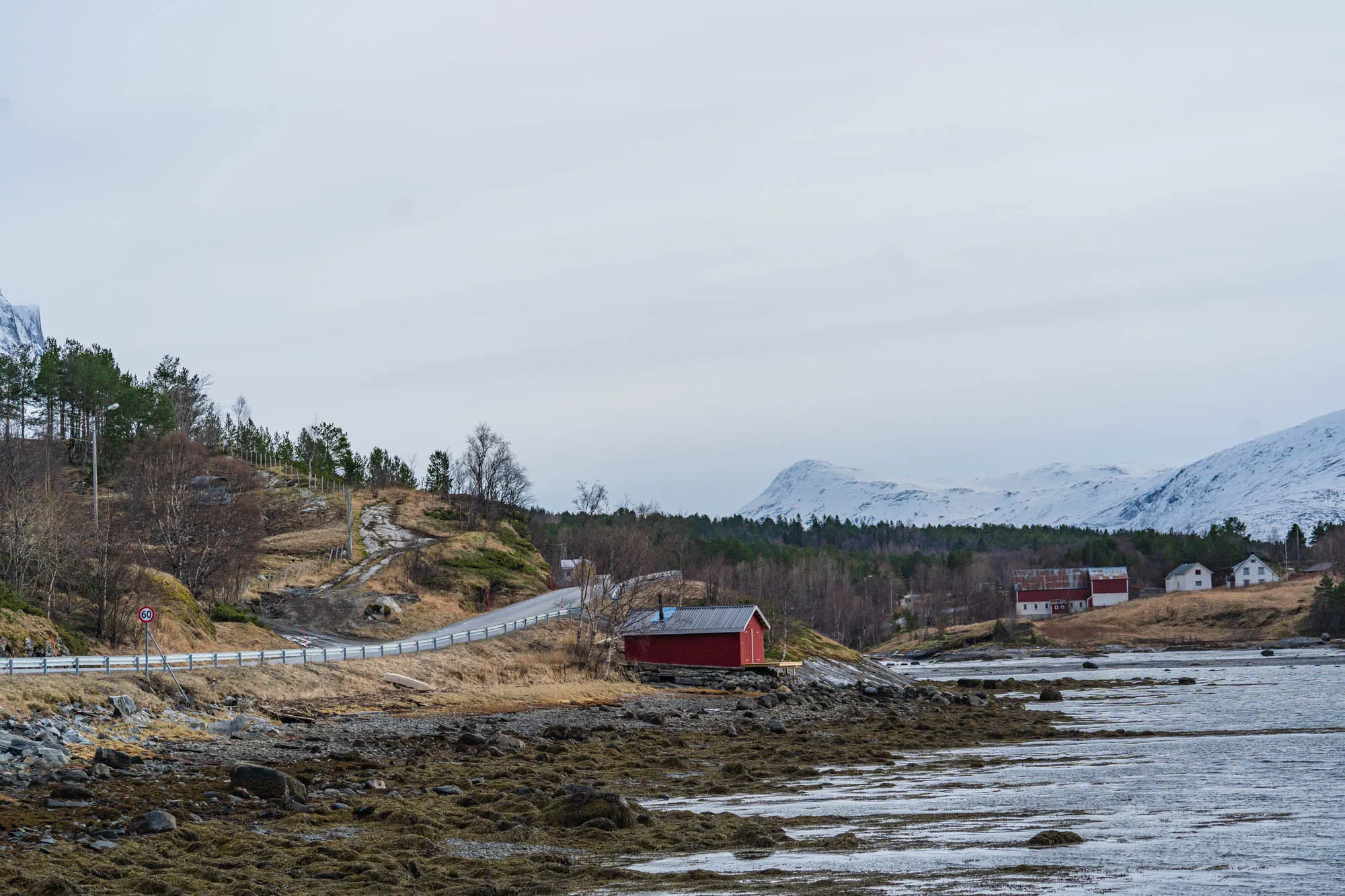 road by the side of the fjord, mostly dark green because of winter, but promissing green lands