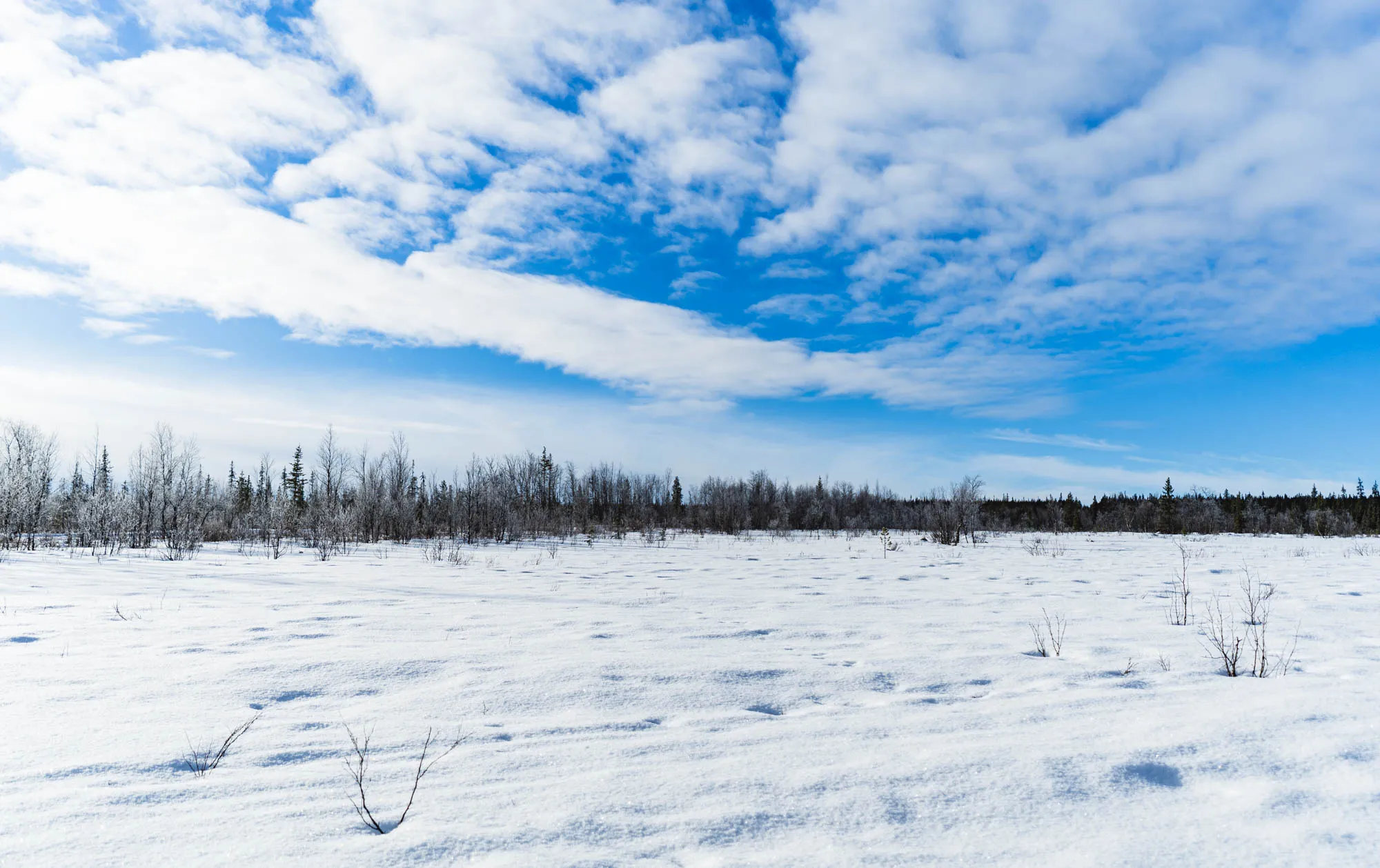 wide landscape sunny weather