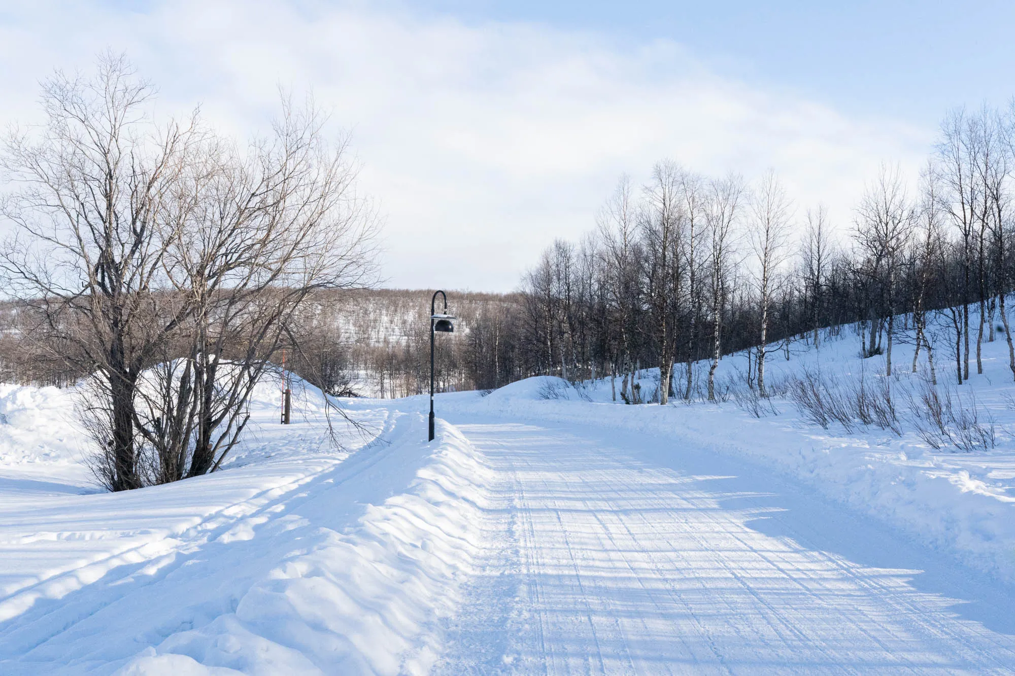 photo of snow-covered street